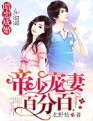 暗恋成婚：帝少宠妻百分百